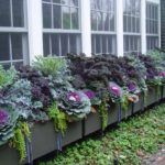 Кутии с декоративно зеле до прозореца