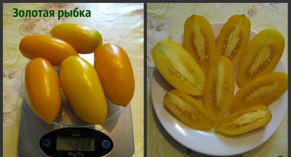 I vantaggi e gli svantaggi della varietà