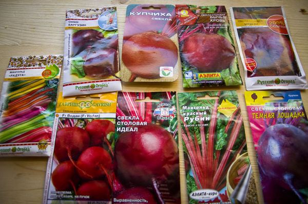  semi di barbabietole