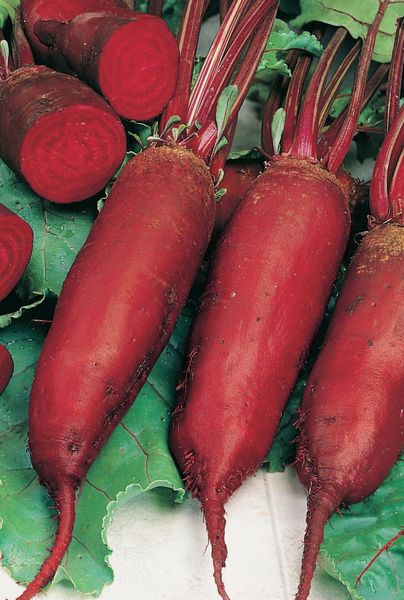 advantages and disadvantages