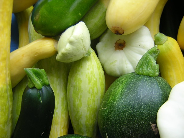  Κολοκυθάκια