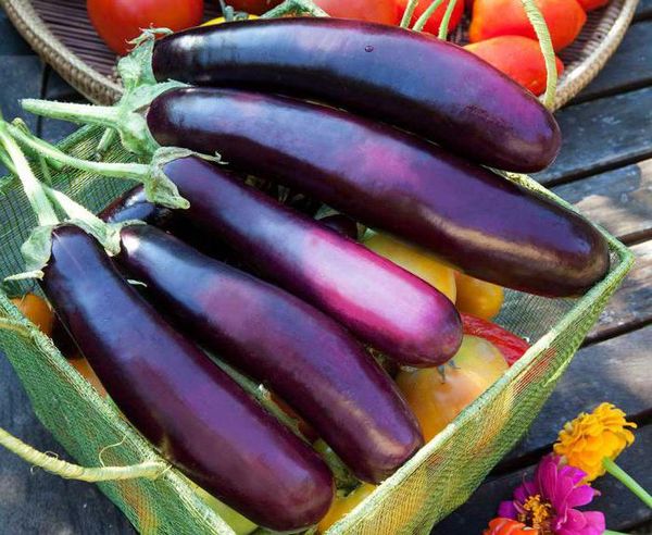  How to remove the bitterness of eggplants