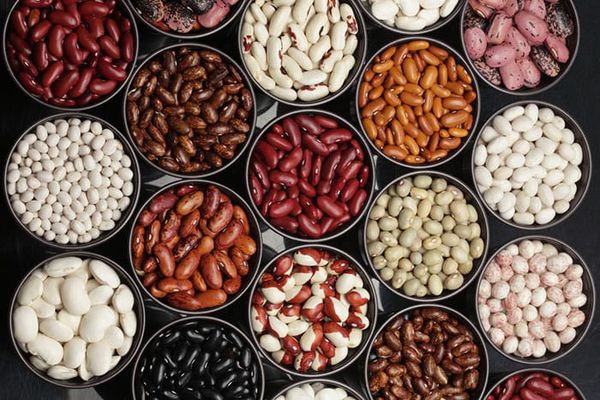  Types and varieties of beans