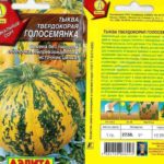 Graines de citrouille Golosemyanka