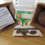 La culture des plants se fait mieux dans des pots de tourbe.