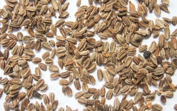 Avec l'utilisation constante d'engrais, vos semences et votre magasin doivent se mélanger