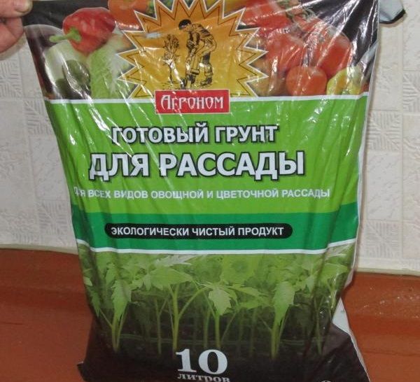 Preparing the soil for planting eggplant