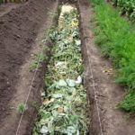 The ridge of deep bookmarks should be 2 shovels deep