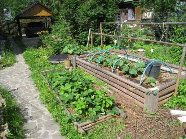 High warm garden for cucumbers