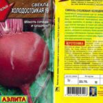 Най-добрите устойчиви на студ сортове