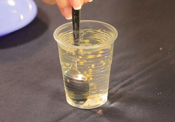 Check the quality of tomato seeds with saline