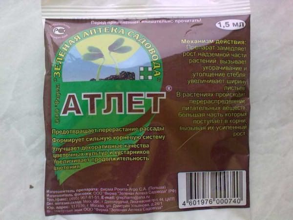 Για να αποφευχθεί το τράβηγμα των σπορόφυτων, πρέπει να χρησιμοποιήσετε το φάρμακο Αθλητής