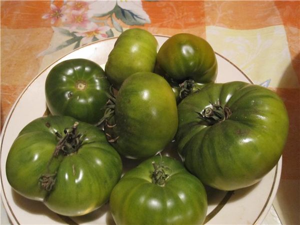 Mass harvest in September