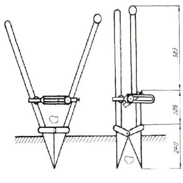 Dessin à main levée pour planter des pommes de terre