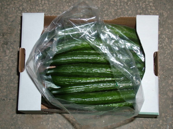 Wie man Gurken zuhause zu Hause aufbewahrt