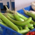 Οι καλύτερες πολύχρωμες ποικιλίες