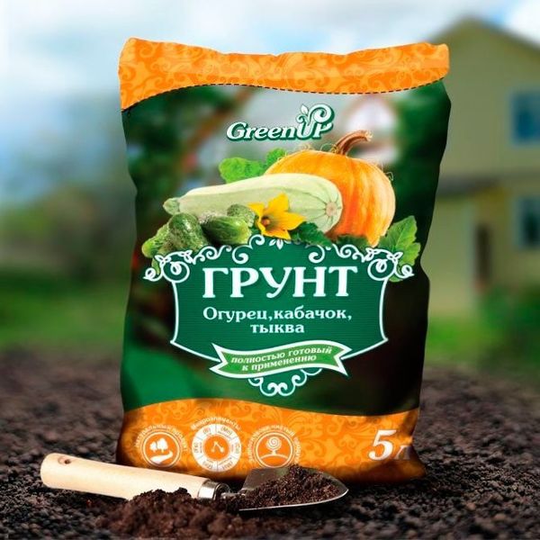 For seedlings zucchini mandatory use of specialized soil