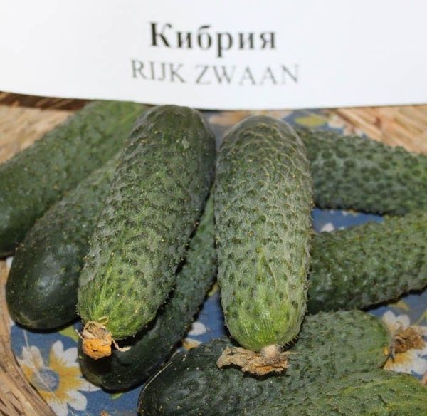 The fruits have a presentable appearance and tolerate transportation.