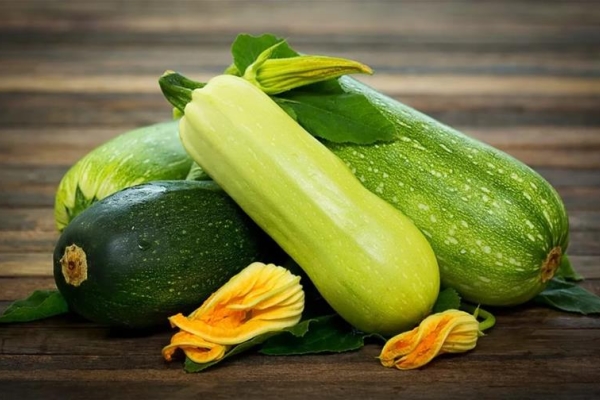  Qual è la differenza tra zucchine e zucchine, qual è la differenza?