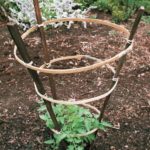 Unusual mounting methods