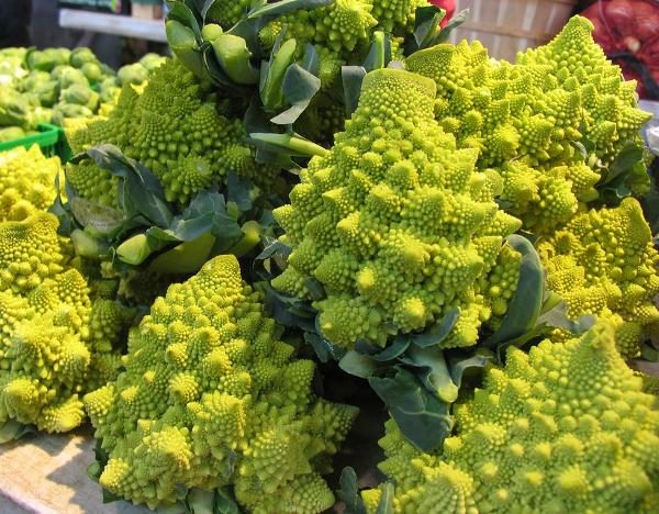 The main criterion for ripeness of cabbage Romanesco - formed large inflorescences-stars