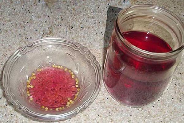 Soaking seeds in potassium permanganate is a preventive measure against diseases.