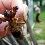 Malattia e prevenzione