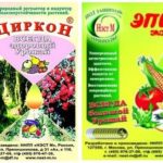 Циркони и Апин