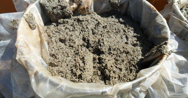 Les excréments de poulet liquides sont nocifs pour les larves de nématodes.