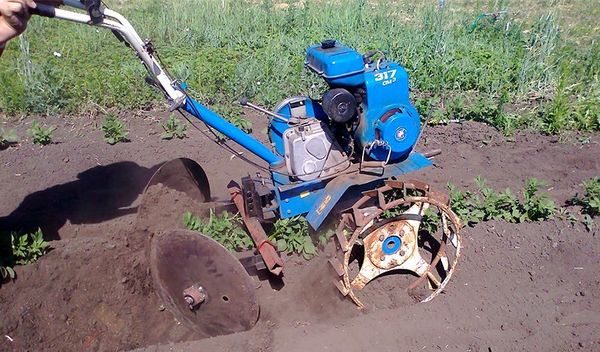 Disque okuvivatel sur le bloc moteur Neva