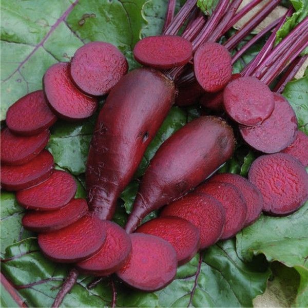 Най-добрите средновековни сортове