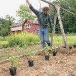 Unusual mounting methods