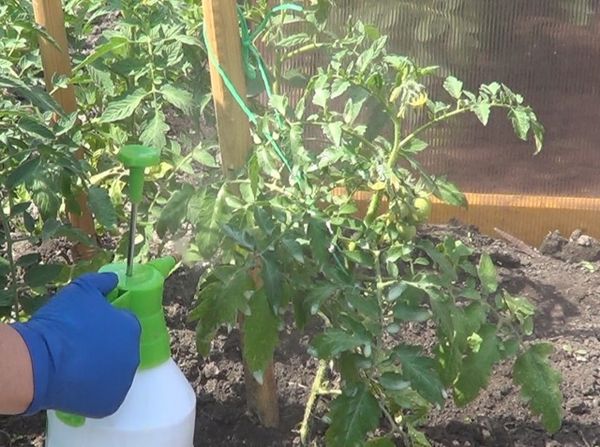 Ασθένεια και Πρόληψη