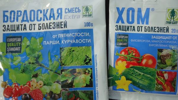 الأمراض والوقاية منها