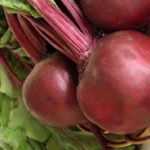 Най-популярните сортове ранно цвекло