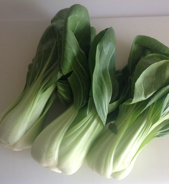 Varietà razze allevamento svedese