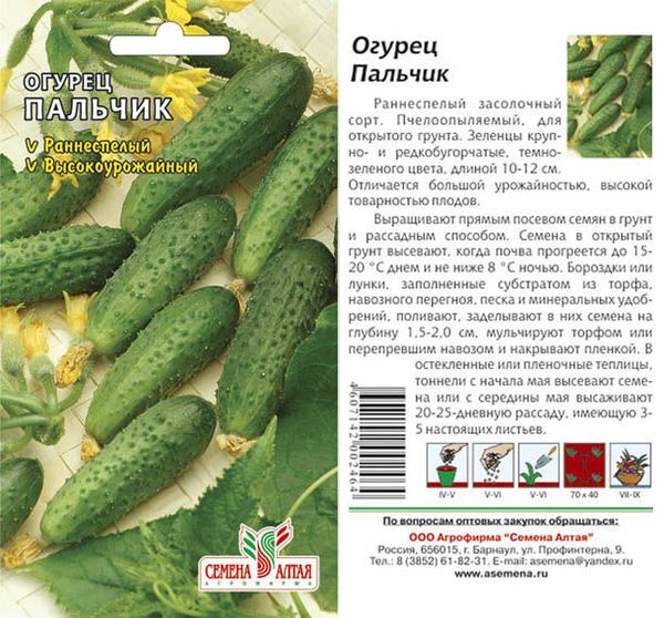 Salatalık tohumları