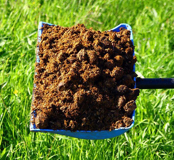 التسميد - وهو شرط أساسي