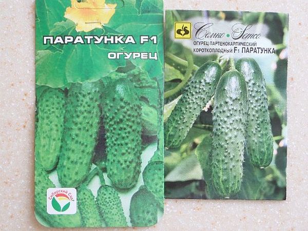 بذور الخيار بارتونكا