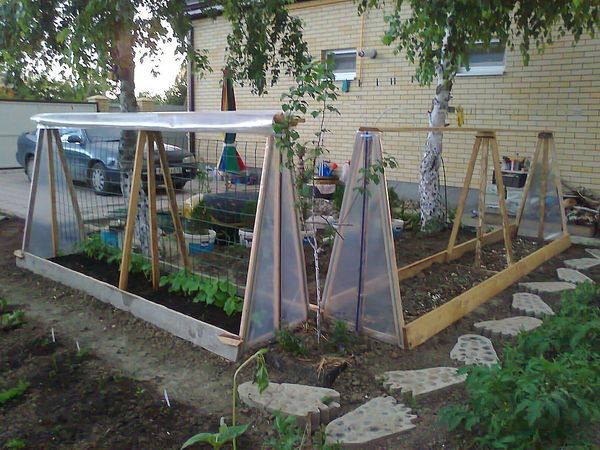Scheme homemade greenhouse can be viewed on the Internet, or a neighbor