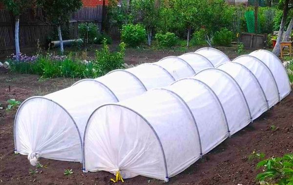 The area under the greenhouse should be open and free.