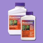 Mancozeb - Développement chinois pour la pulvérisation d'arbustes à partir de gale