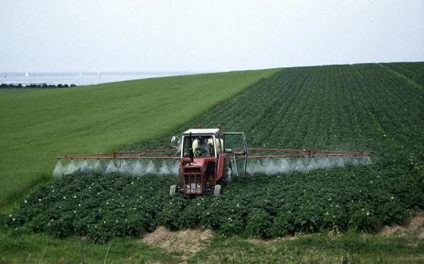 L'introduction d'herbicides pour la pomme de terre sur le terrain