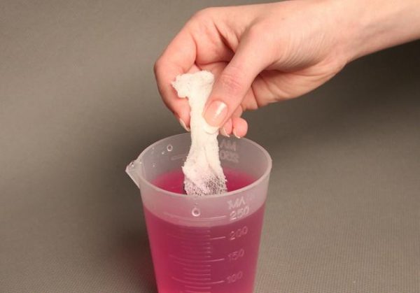 Tomato seed preparation