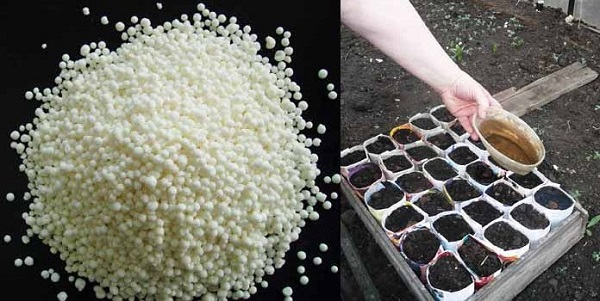 Comment plonger les plants à la maison?