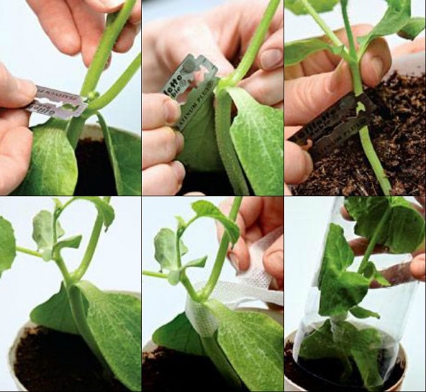 Tecnologia e modi per instillare