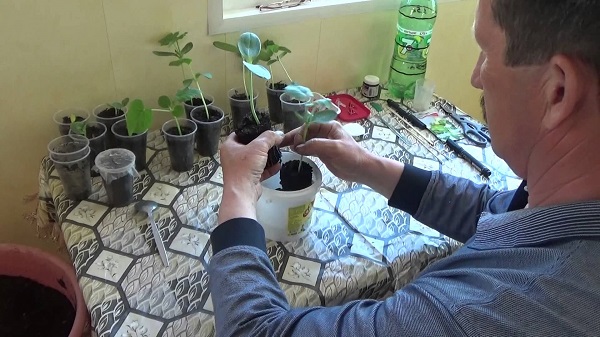 Tecnologia e modi per instillare