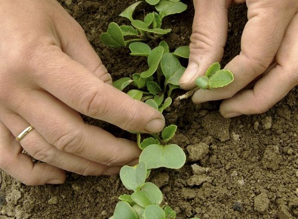 متى وكيف ينقص السرير؟