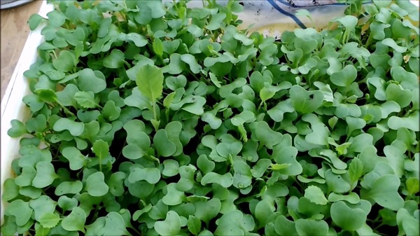 Quand pouvez-vous vous asseoir?