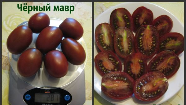 مزايا وعيوب متنوعة